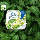 Glade-01